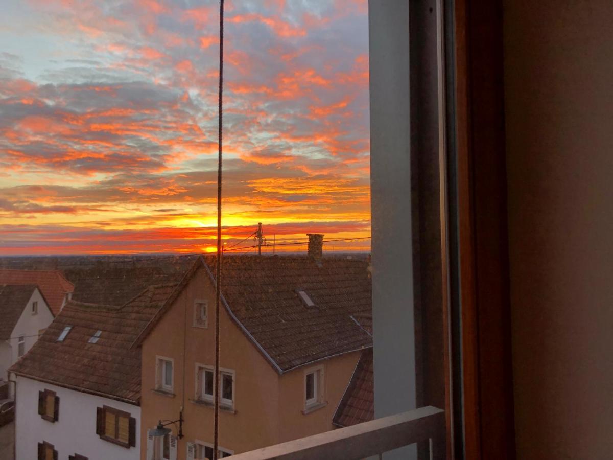 Gaestehaus Susanne Pfaffmann ลันเดาอินแดร์ฟัลซ์ ภายนอก รูปภาพ